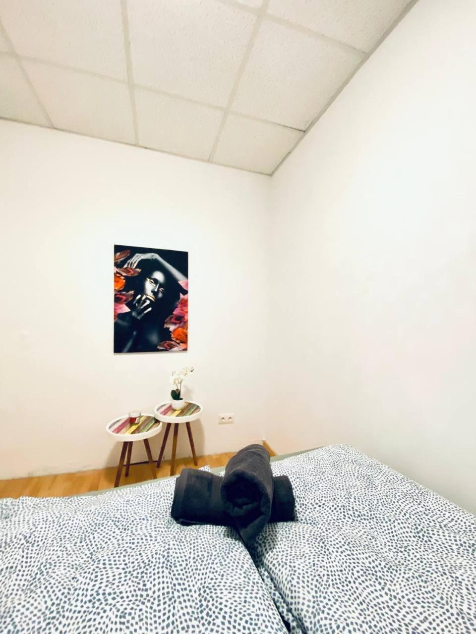 Séjour chez l'habitant Comfortable In The 23rd District Of Fr3 Vienne