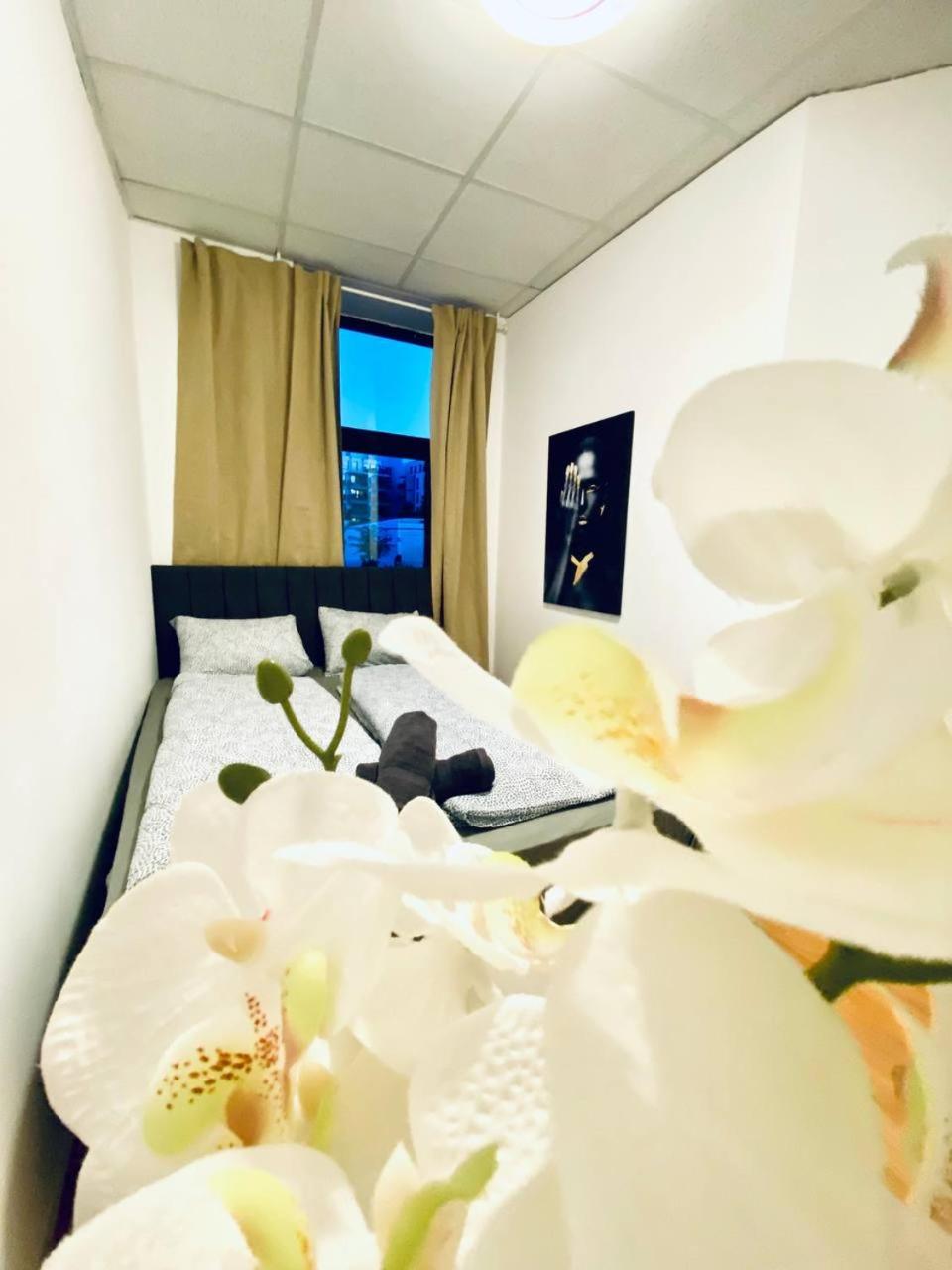 Homestay Comfortable In The 23rd District Of Fr3 Vienna